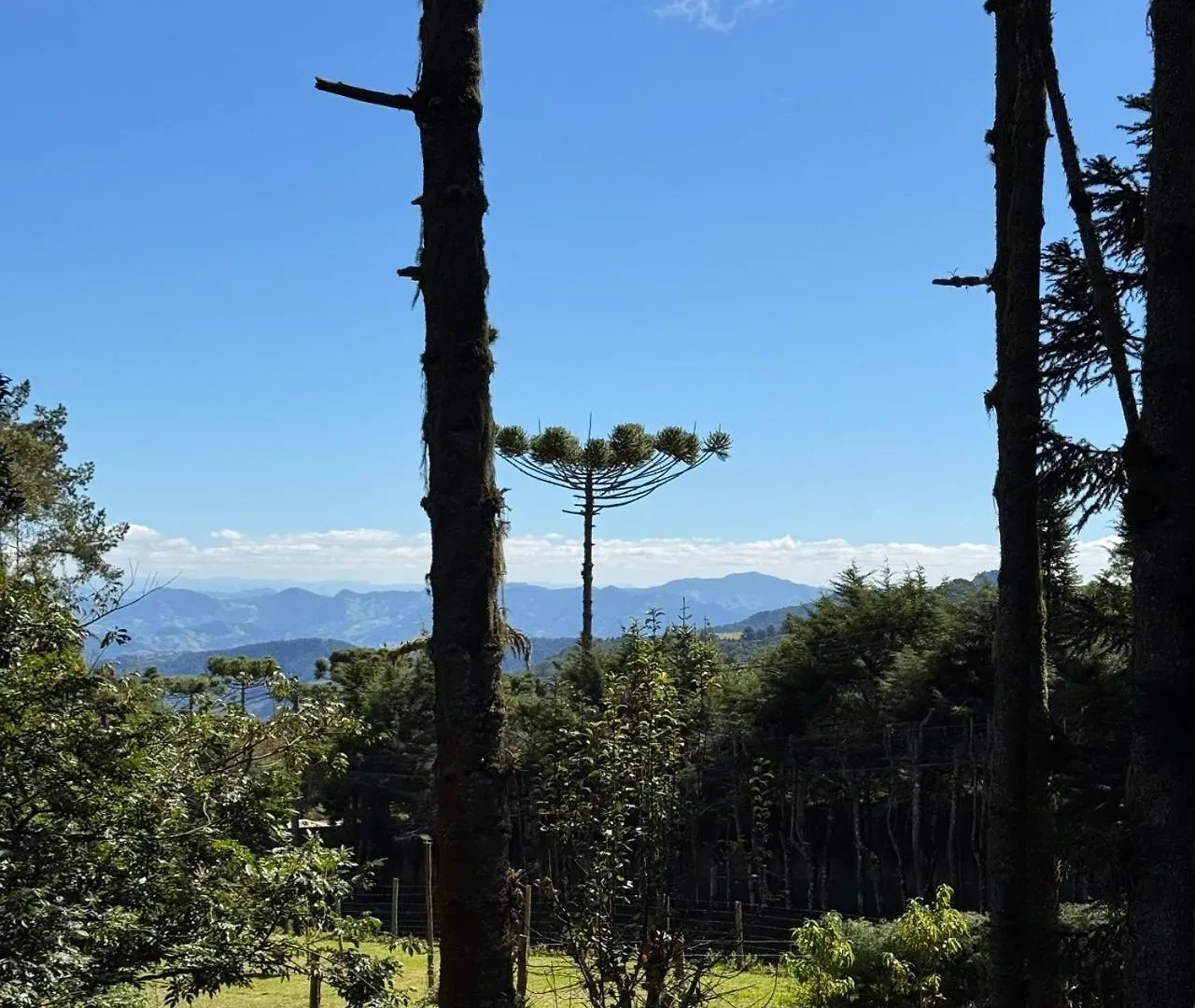 Chale Da Araucaria Villa Campos do Jordao 0*,