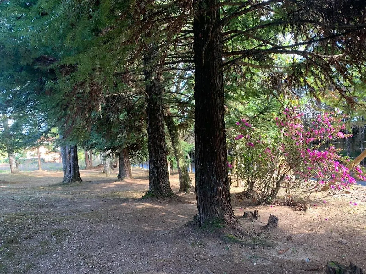 Domek alpejski Willa Chale Da Araucaria Campos do Jordão
